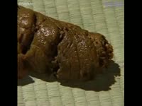 Poop Fetish Porn Tube -  Japanese teen forced to eat own shit